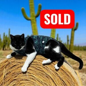 SOLD THE RESET by R LABEL Kimono Cardigan Wool Sweater in Blue Small